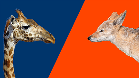 Verbindende communicatie